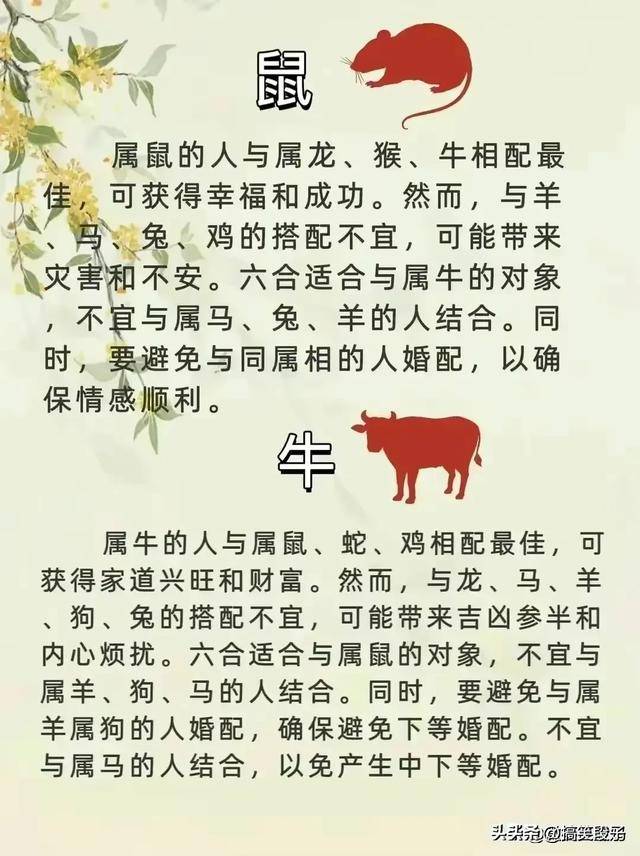 如醉如痴打一正确生肖请全面2释义、解释与落实、精准解答解释落实
